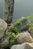 "Riverside"