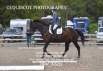 BPP_6502