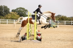 SBM_001978