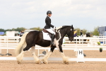 SBM_03833
