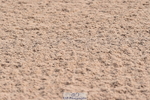 230611A-092934-04508