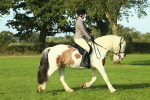 SBM_59848