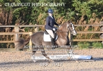 BPP_7917