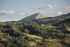 9242 Terranova di Pollino