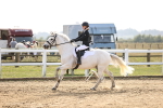 SBM_03509