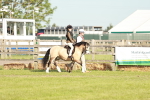 SBM_11033