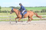 BPP_1262