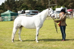 SBM_01648