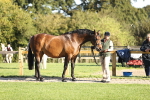 SBM_15694