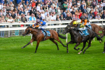 080925-Race 4-Zain Blue-7619