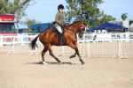 SBM_17488