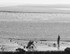 Cockle Fishers, Tayport