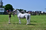 SBM_03891