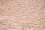 240505A-124514-05820