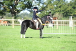 SBM_35552