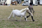 WJ6_5956