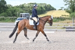 BPP_7629