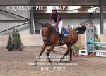 BPP_7552