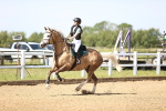SBM_003616