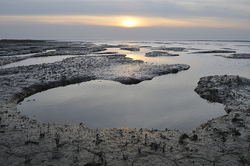 Landscape portfolio