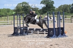 BPP_8498