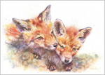 00773 A2 FOXES water 1500