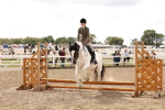 SBM_06090
