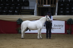 SBM_04943