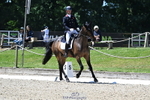 C-205-Harry.Meade-IF.IN.DOUBT portfolio