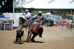 3HRodeo8-11-25_PRCASteer_06258_