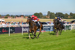 220926-Race 5-Go Victor-4363