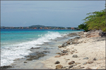 Der Strand bei North Belnem, Bonaire