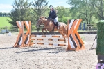 CLASS 37 MON 0.85m Amateur Championship Qualifier portfolio