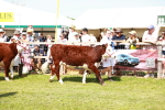 SBM_08374