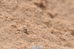 230813A-094018-11240