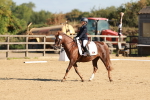SBM_009193
