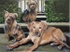 Sandy, Bengy & Barney