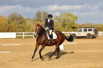 SBM_002819