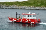 Hornøya, Barents Sea, Troms og Finnmark, Norway