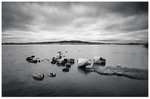Lough Gara, Co Sligo