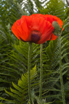 20130621-_MG_4351