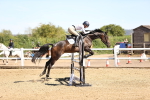 SBM_003042