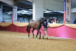 SBM_18585