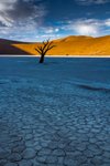 Deadvlei 4