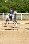 SBM_007298