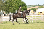 SBM_09551