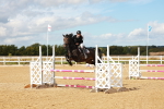 Class 2 - Senior British Novice - 90cm portfolio