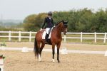 SBM_009184