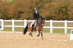 SBM_010566
