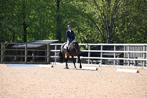WJ6_8887